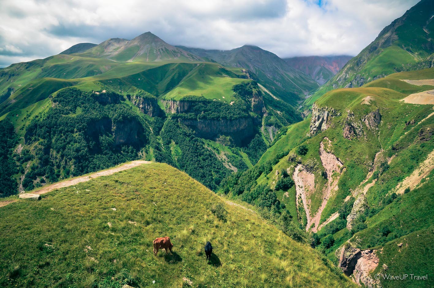 10 Reasons Why I Love Georgia