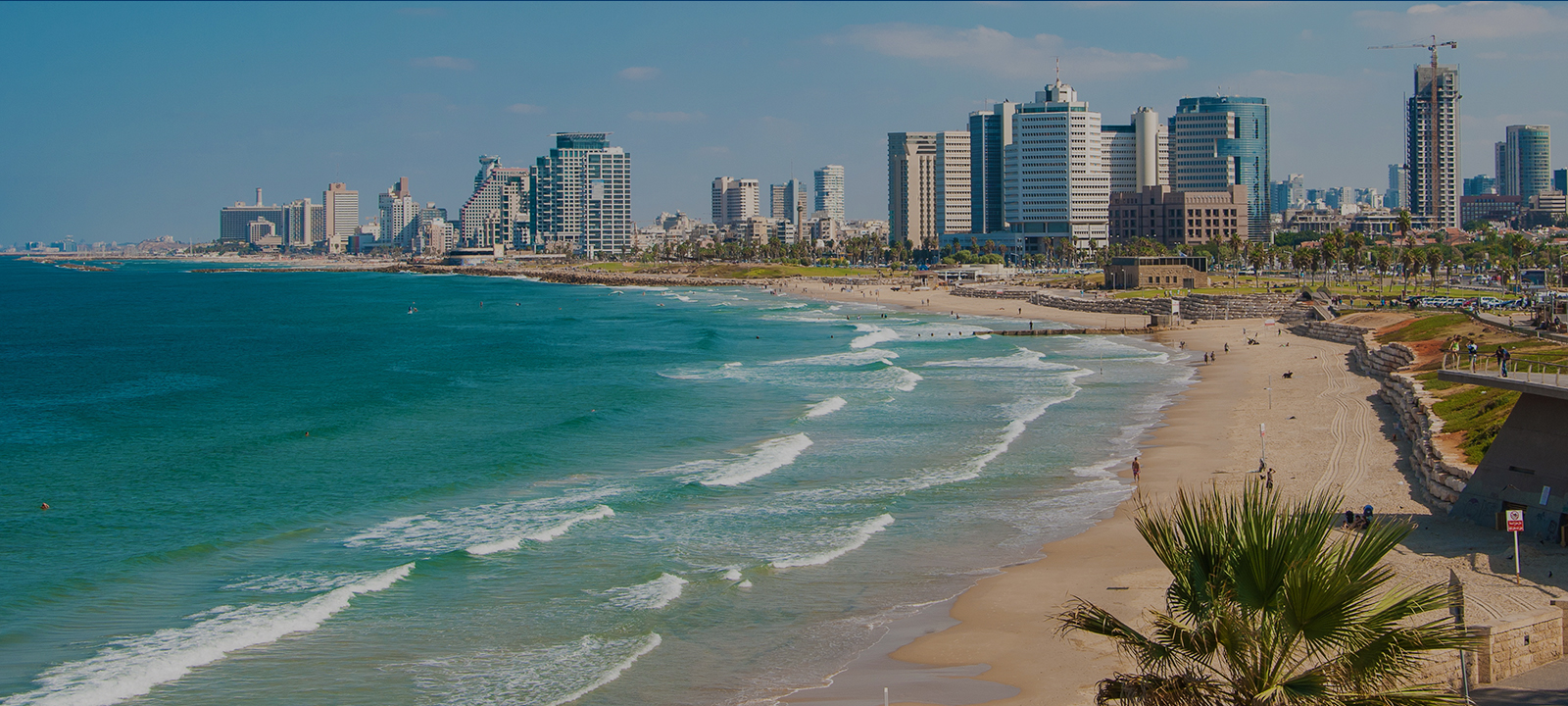 Tal Tours Tel Aviv Israel